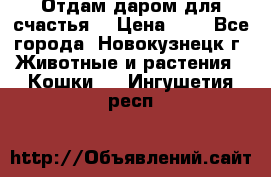 Отдам даром для счастья. › Цена ­ 1 - Все города, Новокузнецк г. Животные и растения » Кошки   . Ингушетия респ.